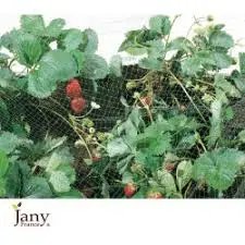Filet de Protection Anti-Oiseaux 2x10m – Jany France