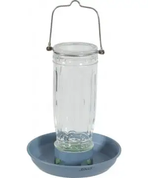 Mangeoire en verre pour oiseaux du jardin – Design pratique et élégant