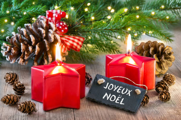 Anti-Fourmis – Boîte à Appât Barrière à Insectes